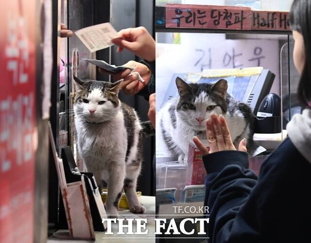 그렇게 복권집 야웅이는 오늘도 밥값을 톡톡히(?) 해냈다.