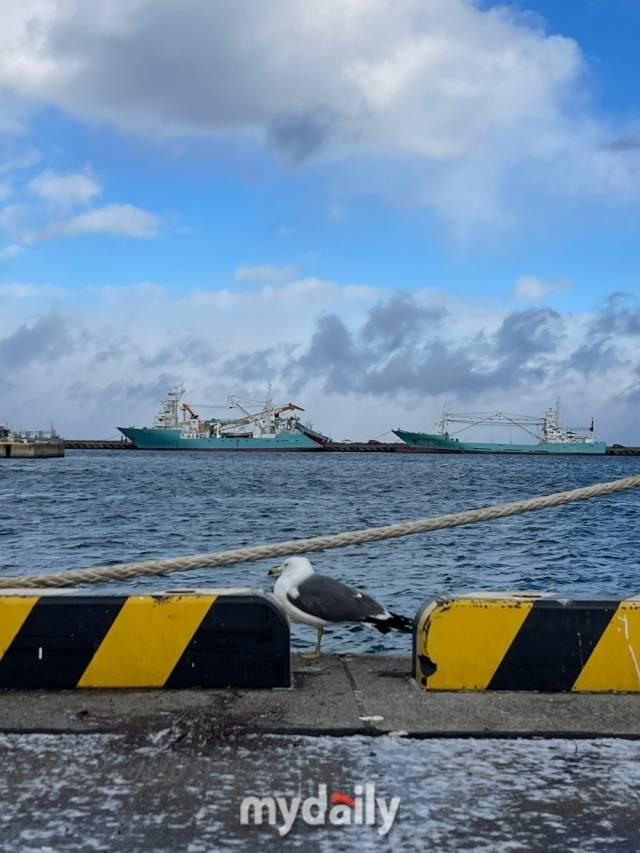 일본 하치노헤. /이지혜 기자