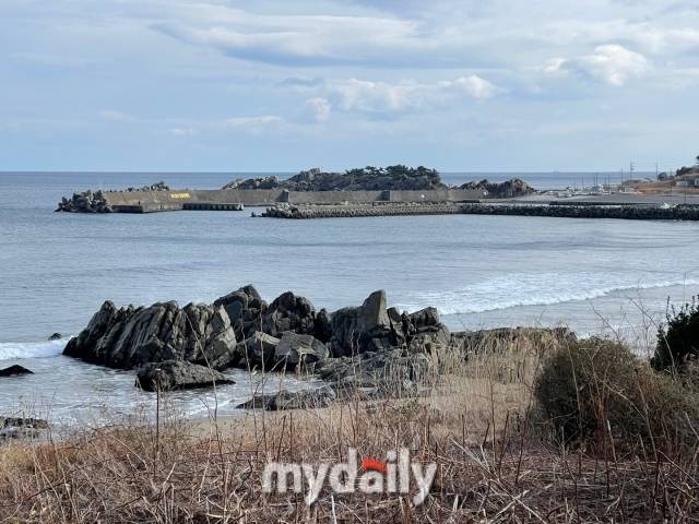 일본 하치노헤. /이지혜 기자