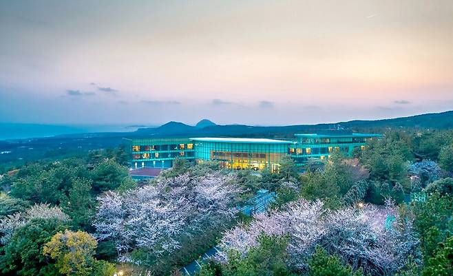 한라산을 뒤로 하고 멀리 산방산-용머리해안을 내려다 보는 위호텔 제주의 드넓은 숲엔 머지않아 벚꽃이 핀다