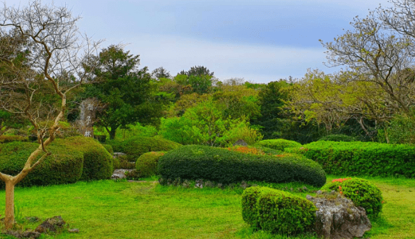 온라인 커뮤니티