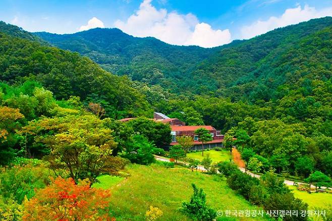 힐리언스 선마을은 산에 둘려싸여 디지털에서 완전히 멀어진 일상을 체험할 수 있다. /사진=한국관광공사
