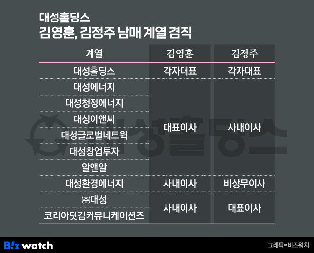 대성홀딩스 김영훈 김정주 남매 계열 겸직