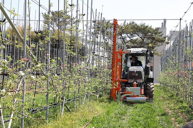 [서울=뉴시스] 과수농가 기계화. (사진=농촌진흥청 제공) 2022.04.20. photo@newsis.com *재판매 및 DB 금지