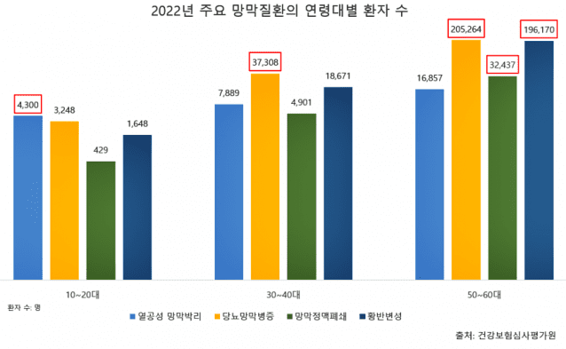 2022년 주요 망막질환의 연령대별 환자 수(제공=김안과병원)