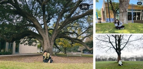 ‘ucchin vibe’(장욱진 느낌)라는 캡션과 함께 미국 텍사스 메닐 컬렉션 정원의 떡갈나무 밑에 양반다리를 하고 앉은 사진을 인스타그램에 올린 방탄소년단 RM(왼쪽)과 이를 따라 한 팬들. 사진 인스타그램