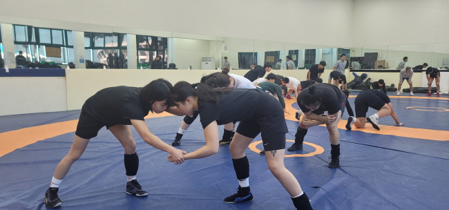 지난 16일 제주의 한 체육관에서 경기주택도시공사 레슬링팀 선수들이 훈련하고 있다.  GH 제공