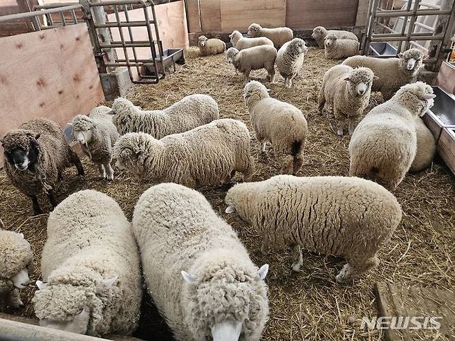 [고창=뉴시스] 류난영 기자 = 전북 고창에 위치한 매일유업 상하농원. 상하농원은 약 3만평 대지에 자연과 사람이 공생할 수 있는 건강한 농촌을 꿈꾸며 조성된 농어촌 테마공원이다.