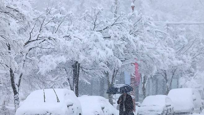 사진 제공:연합뉴스