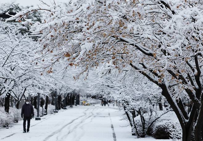 A passerby walks near Suwon World Cup Stadium in Suwon, Gyeonggi Province, where 3 to 8 centimeters of snow had fallen as of Thursday morning. (Yonhap)