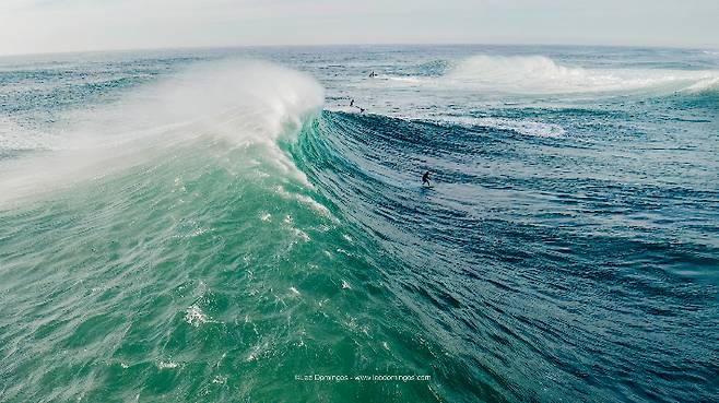 사진작가 Leo Domingos 제공