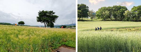 경산 가볼만한 곳 BEST 5 / 온라인 커뮤니티