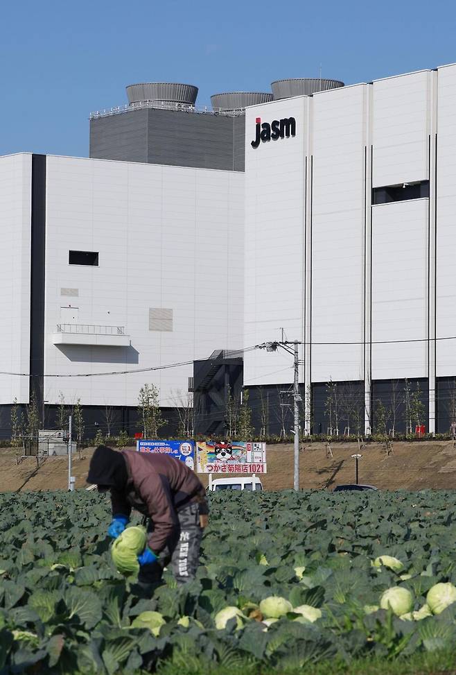 24일 개소식이 열린 일본 규슈 구마모토현 티에스엠시(TSMC) 제1공장 앞에서  주민이 양배추를 따고 있다. 교도 연합뉴스