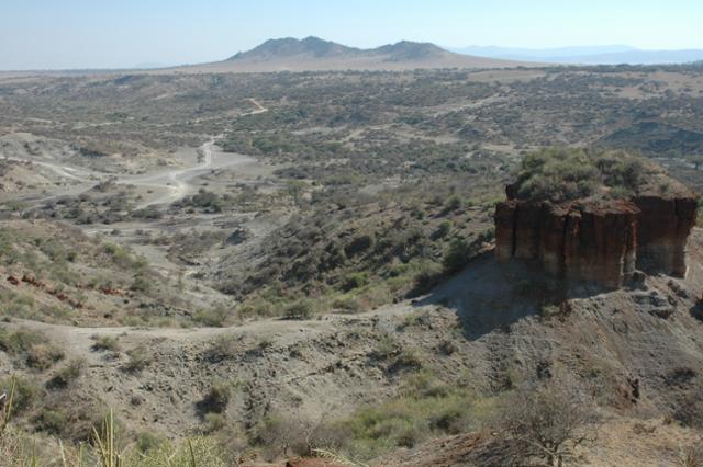 아프리카 탄자니아 올두바이 협곡 유적 전경. 사진 오른쪽에 솟은 지층을 통해 침식되기 전의 층위를 살펴볼 수 있다.