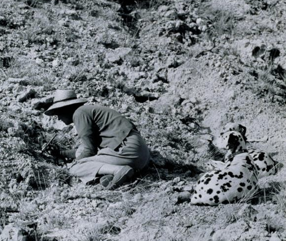 메리 리키가 올두바이 협곡에서 발굴 작업을 하는 모습.