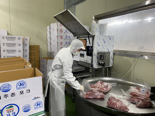 22일 제주 서귀포시축산농협 산지육가공공장에서 직원이 포장된 고기에 등급과 중량 등이 표시된 라벨지를 붙이며 마지막으로 고기 품질을 점검하고 있다. 김남명 기자