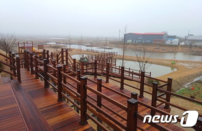 전북 익산시는  멸종위기종인 금개구리 서식처 복원을 위해 '다래못' 복원을 완료했다.(익산시 제공)2024.2.26./뉴스1