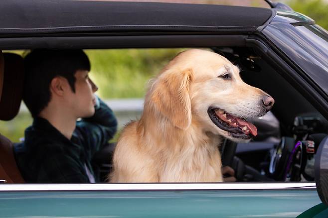 사진=게티이미지뱅크