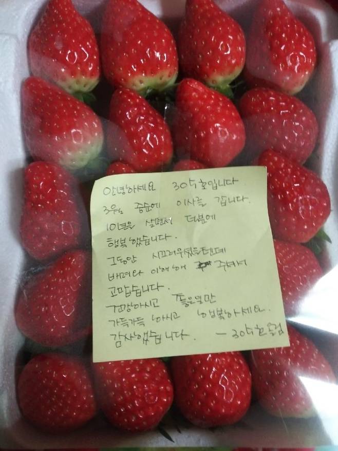 ▲ 이웃에게 감사 편지와 함께 받은 딸기 사진 : 보배드림&nbsp;&nbsp;