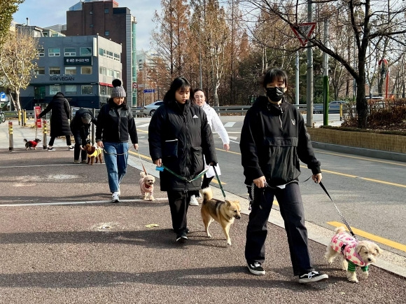 서울 서초구에서 운영하는 반려교육아카데미 참가자들이 반려동물과 산책을 하고 있다. 서초구 제공