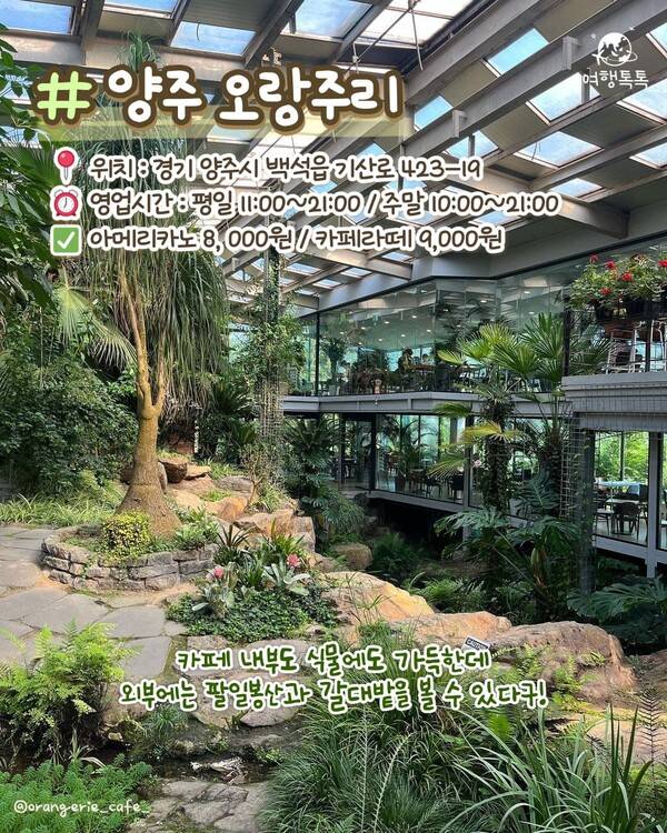 ⓒ여행톡톡 / 식물원 카페&nbsp;