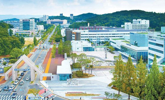 충남대학교는 학생들이 국제사회의 다양한 분야로 진출할 수 있도록 인재개발원에서 진행하는 ‘글로벌 현장실습’ 등 다채로운 글로벌 프로그램을 운영하고 있다. [사진 충남대학교]