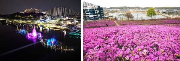 시흥 가볼만한곳 BEST 7 / 온라인 커뮤니티