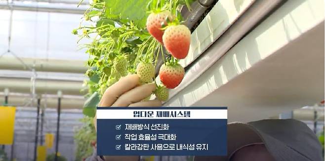 28일 이데일리TV 뉴스.