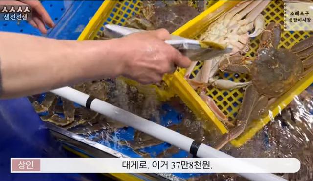 인천 소래포구 어시장에서 한 상인이 대게 2마리에 37만8,000원이라고 말하고 있다. 유튜브 '생선선생 미스터S' 캡처