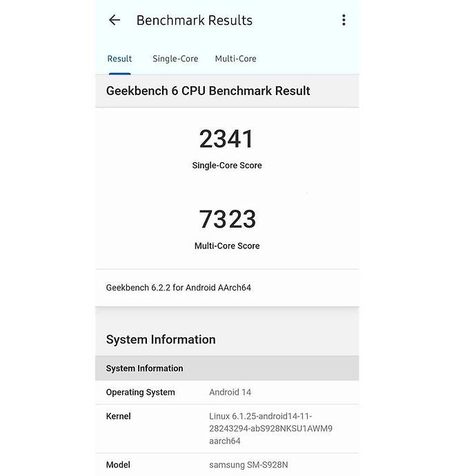 긱벤치6(Geekbench 6)로 측정한 갤럭시 S24 울트라의 성능 / 출처=IT동아