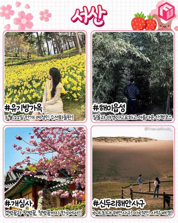 3월 국내 여행지 추천 / ⓒ여행톡톡