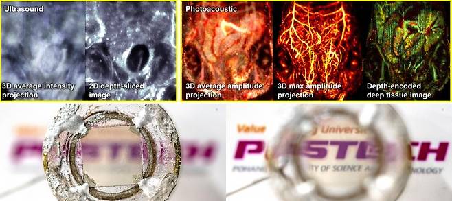 POSTECH 연구팀이 개발한 투명 초음파 트랜스듀서로 쥐 복부를 관찰한 모습. POSTECH 제공