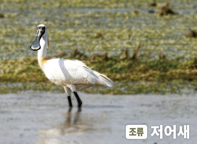 인천시 제공