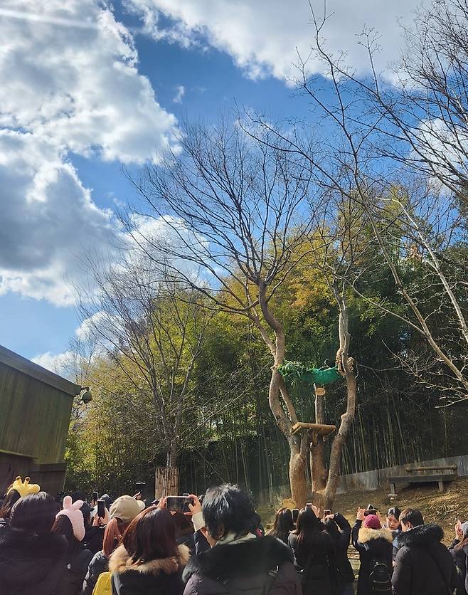 실외방사장에 나온 푸바오를 가까이에서 보려 사람들이 앞에 몰려든 모습. 푸바오 관람시간은 5분으로 제한돼 있다.