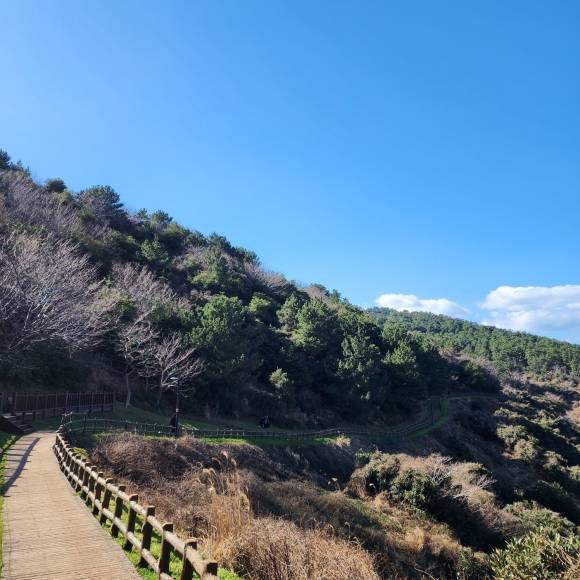 제주 올레길 18코스.