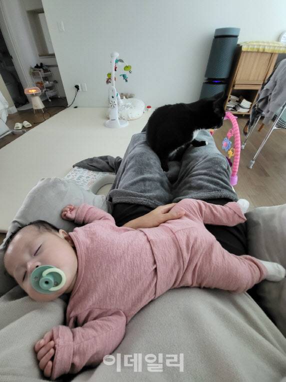 아이 근처에 잘 오지 않았던 고양이는 요즘엔 ‘자신을 봐달라’며 ‘아빠 쟁탈전’을 벌이고 있다. (사진=송승현 기자)