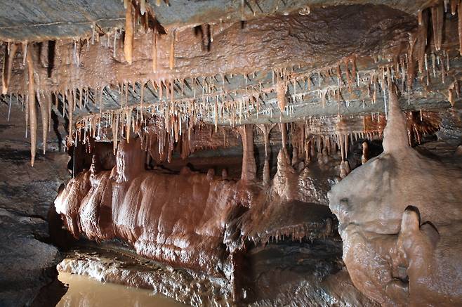 The forest of stalactite at Gosu Cave. (Gosu Cave)