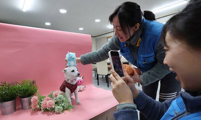 경북 포항 북구 흥해읍에 위치한 포항시 동물보호센터 사무실에 마련된 작은 스튜디오에서 지예슬(왼쪽), 염희선 팀장이 유기견의 입양 공고 사진을 찍고 있다. 포항시 동물보호센터는 예쁜 입양 공고 사진으로 유명하다. 현재 다른 보호센터에서도 많이 따라 하지만 첫 시작은 포항시 동물보호센터다.