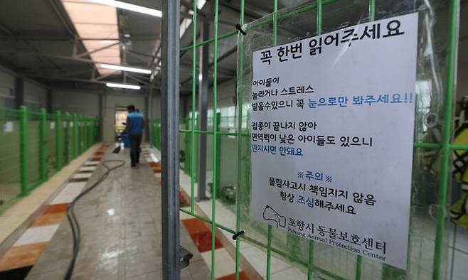 포항시 동물보호센터 보호 중인 유기견 견사에 방문객 주의 사항이 적혀 있다.
