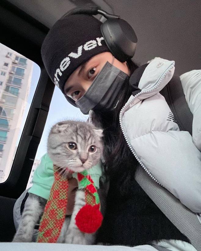 인스타그램 @whysodurious