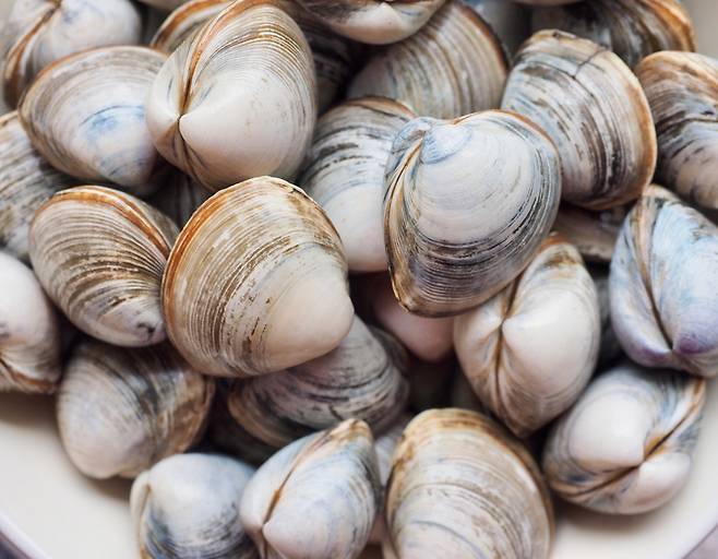 봄철에는 패류 및 피낭류 섭취에 특히 주의해야 한다. SUNGSU HAN/게티이미지뱅크 제공.