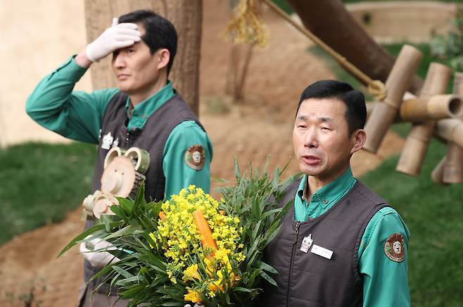 3일 오전 경기 용인시 에버랜드 판다월드에서 다음 달 중국으로 돌아가는 자이언트 판다 '푸바오'의 마지막 공개에 앞서 강철원 사육사가 푸바오를 소개하고 있다. 연합뉴스