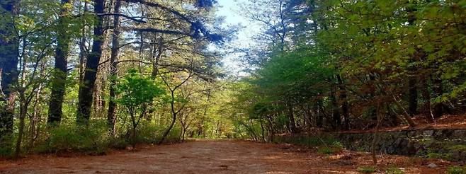 북한산우이령길 [국립공원연구원]