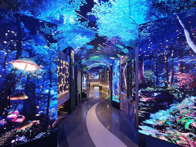 인스파이어의 디지털 엔터테인먼트 거리인 ‘오로라’ 전경 (사진=인스파이어)