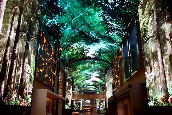 인스파이어의 디지털 엔터테인먼트 거리인 ‘오로라’ 전경 (사진=인스파이어)