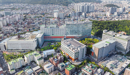 대구 남구에 위치한 대구가톨릭대병원 [헤럴드DB]