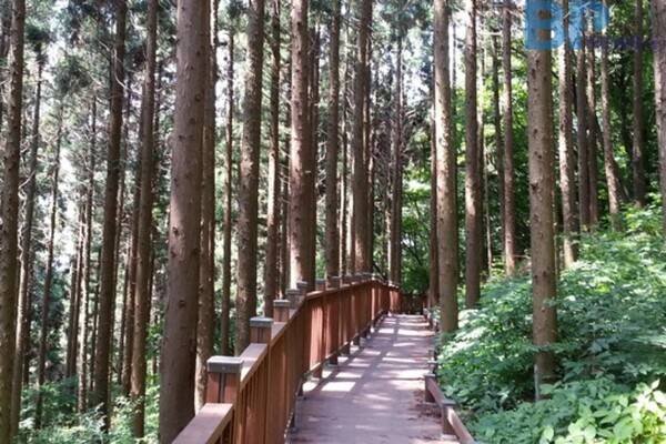 출처: 전라남도 (전라남도 3월 숲길 여행)