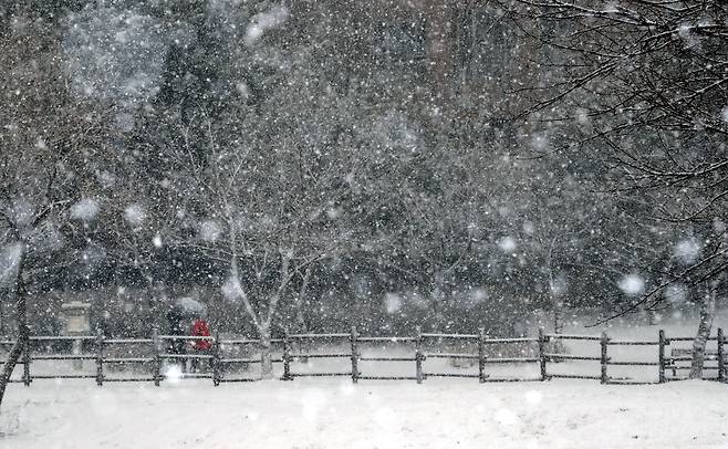 청주에 내린 눈./뉴스1