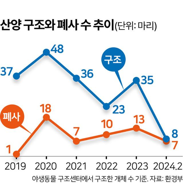 산양 구조와 폐사 수 추이