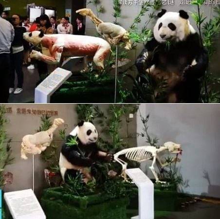 [웨이보]